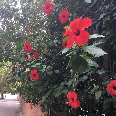 Apartamentо Menorcа Апартаменты Менорка Valencia Exterior foto